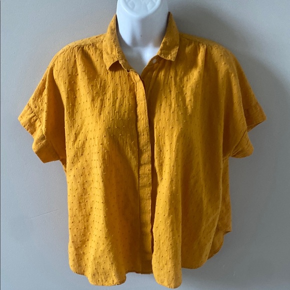 Madewell Tops - MADEWELL 100% Cotton Swiss Dot Boxy Top, Small, Gold. So cute!